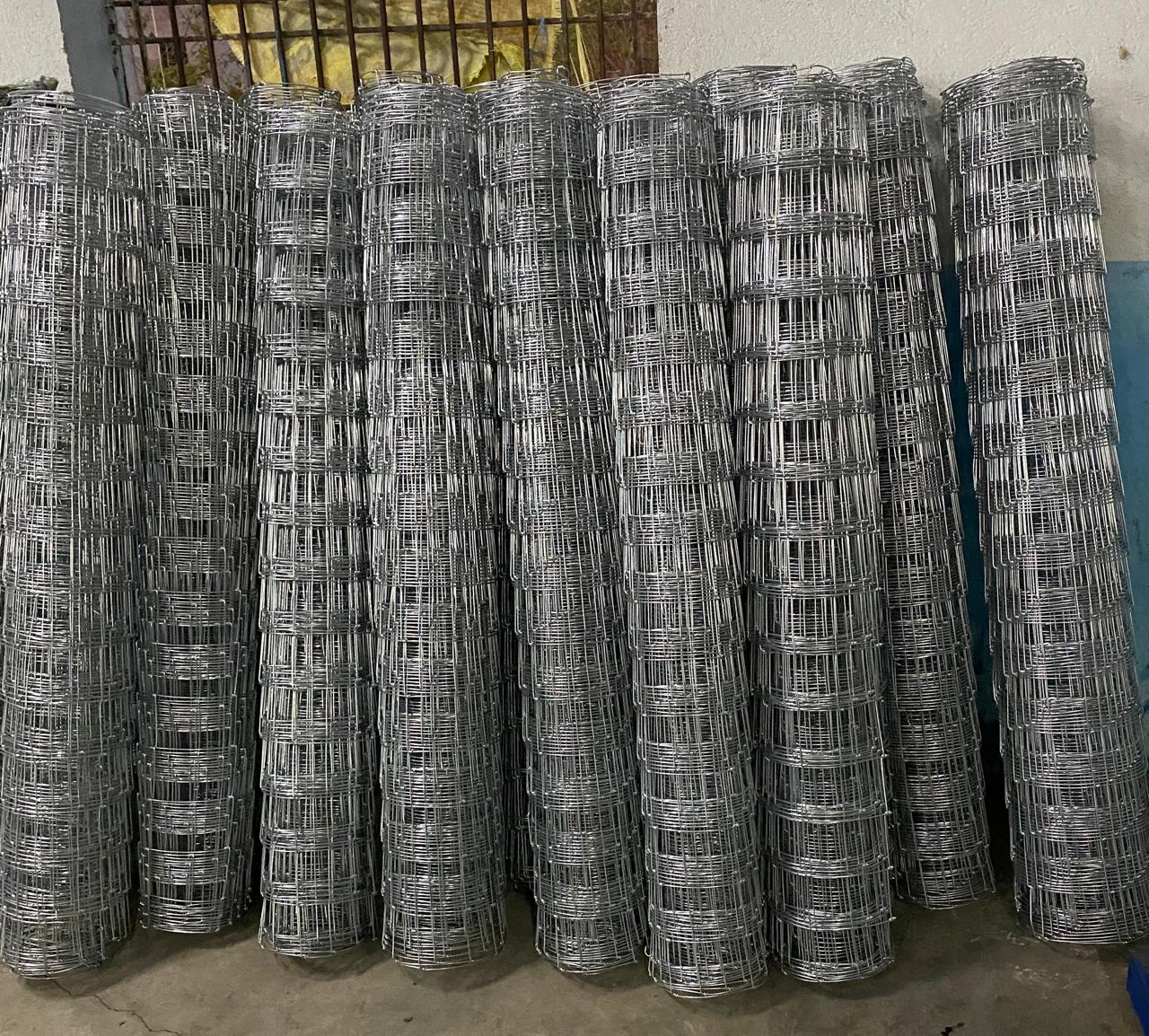 Welded Wire Mesh