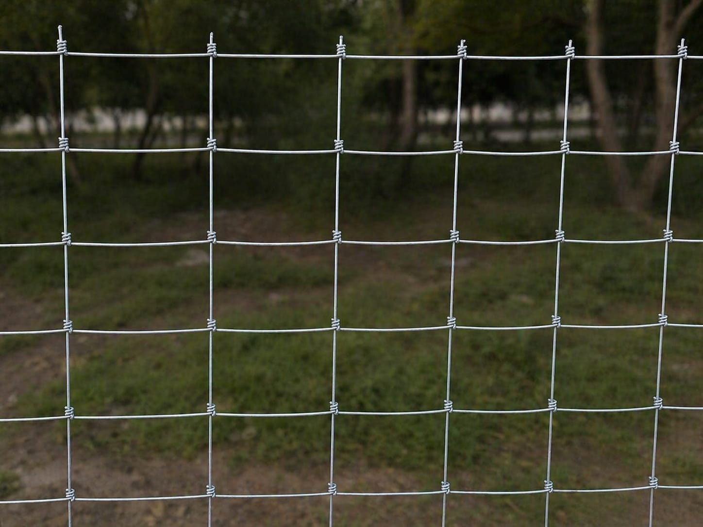 Welded Wire Mesh